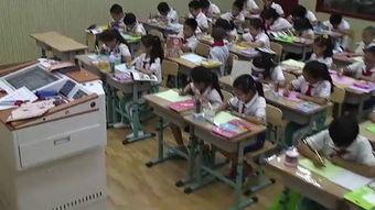 成人免费视频上课,开启成人学习新篇章