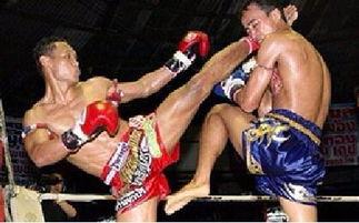 成人搏击接待流程视频