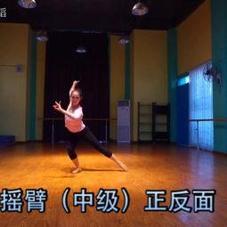 奇妙的种子成人舞蹈视频,成人舞蹈视频魅力解析