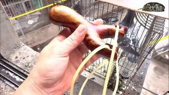 成人玩弹弓的视频大全集,成人玩弹弓技巧全解析