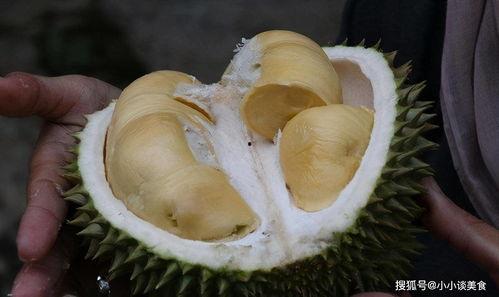 榴莲秋葵视频色斑成人,揭秘色斑成因，探寻人生美丽奥秘