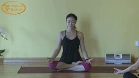 成人九节瑜伽视频教学,全面身心放松的瑜伽练习指南