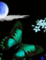 燕子排成人字的视频,空中舞动自然之美